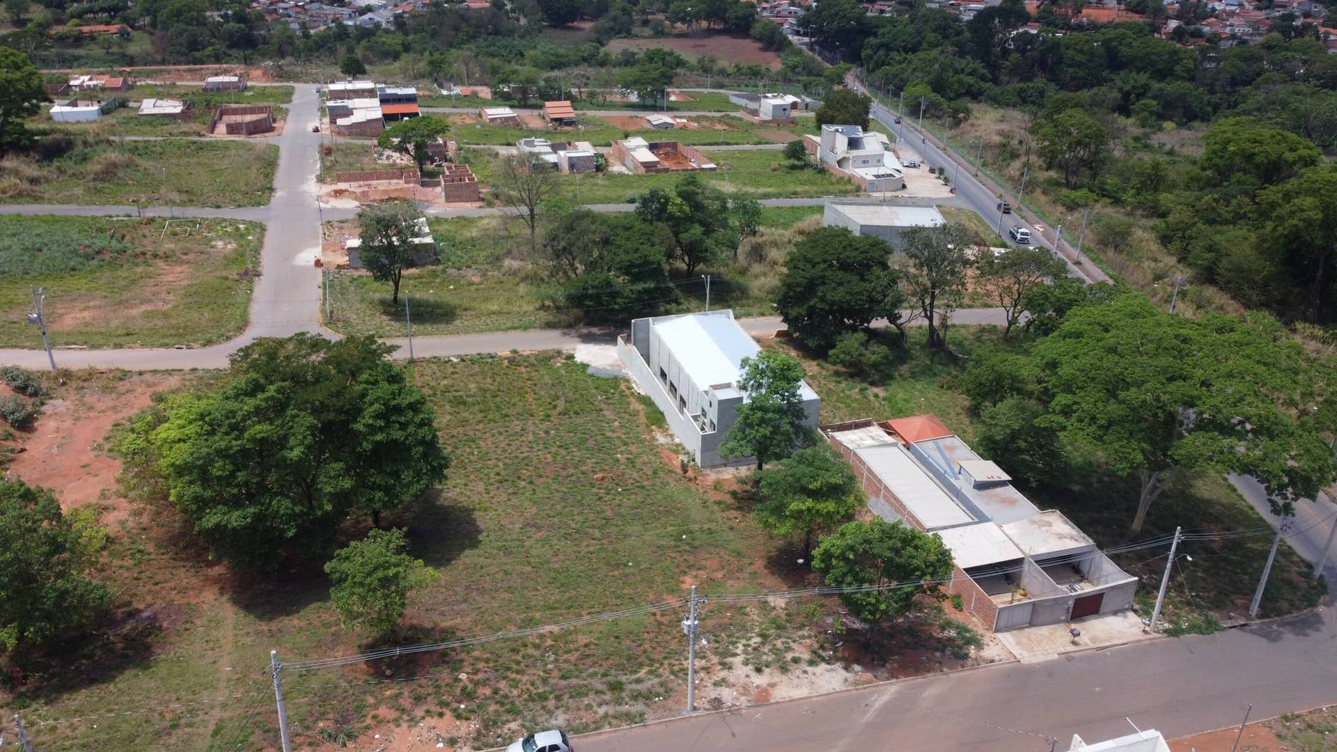 Aerea